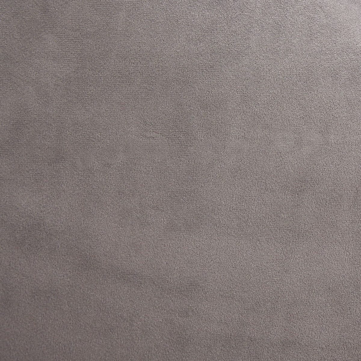 Sillón decorativo Roxbury Park - Terciopelo - Gris Perla / Acero Inoxidable