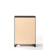 Soteris - Chest - Antique Gray