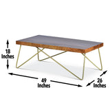 Walter - Brass Inlay Cocktail Table - Brown
