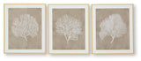 Hendridge - Taupe / White - Wall Art Set (Set of 3)
