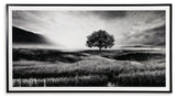 Deborland - Wall Art - Black / White