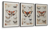 Jossletts - Orange / Black / Ivory - Wall Art Set (Set of 3)