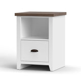 Hampton - One Drawer File Cabinet - Jasmine Whitewash / Barnwood
