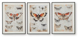 Jossletts - Orange / Black / Ivory - Wall Art Set (Set of 3)